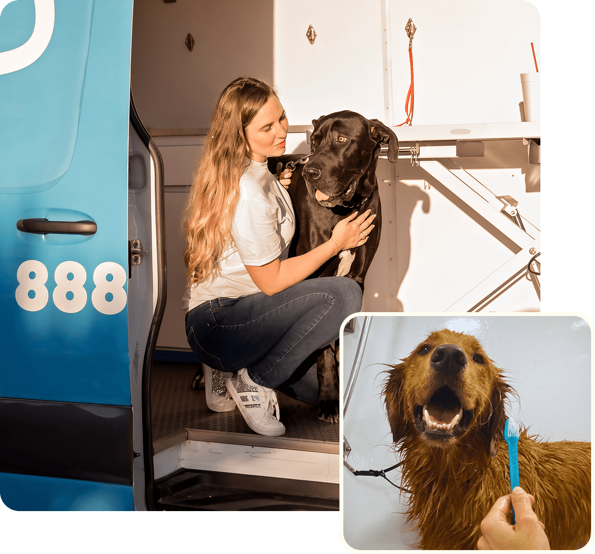 Woman with dogs at mobile grooming service.